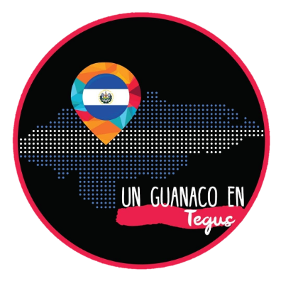 Un Guanaco en Tegus