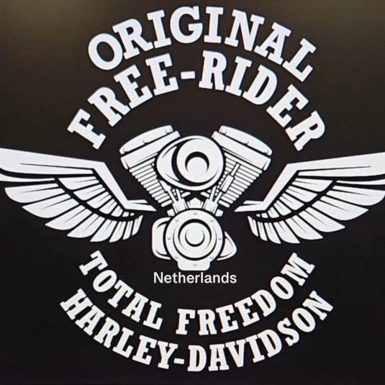 Original Free-Rider