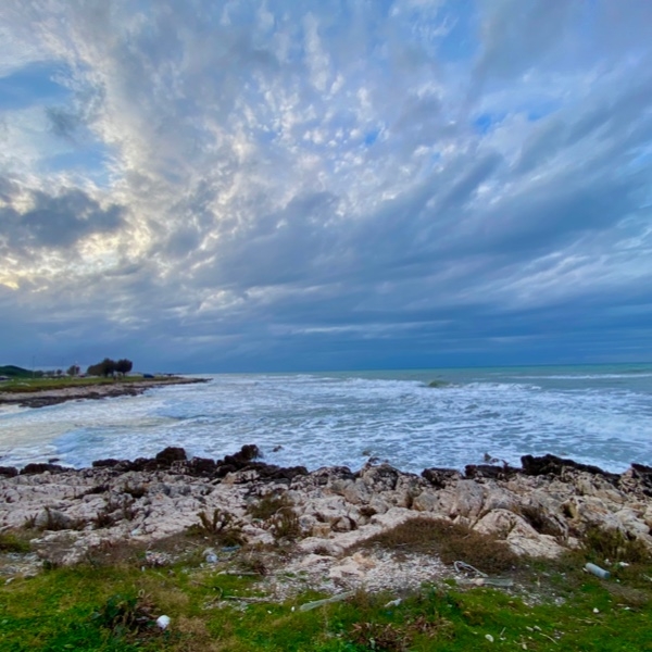The Distinguished Gentleman's Ride Matteo Villani