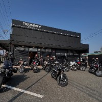 Kumamoto Triumph